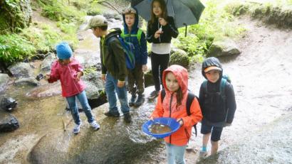 Bild: Gabi Schönberger
Beim Ferienprogramm des Stadtjugendrings Weiden üben sich die Kids im Goldwaschen am Doost. Das Regenwetter hält sie nicht ab.