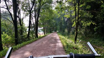 Bild: phol
Wer auf dem Fünf-Flüsse-Radweg von Amberg nach Regensburg fährt, bekommt viel Grün zu sehen.