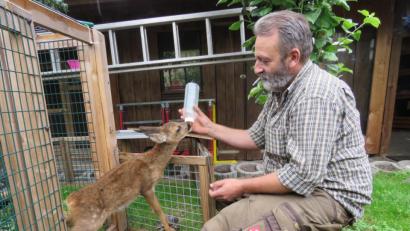 Bild: ubb
Dieter Brandl hat bereits, wie er sagt, über 40 Rehkitze aufgezogen. Diesmal werde er es wohl behalten müssen, denkt er.