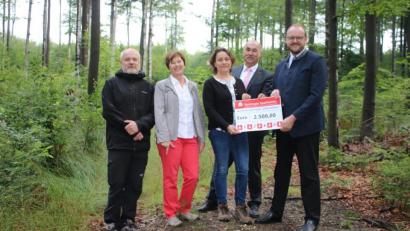 Bild: sne
Landes- und Bundesvorsitzender des Vereins für Landespflege und Artenschutz Johannes Bradtka (von links) , Schriftführerin Rosa Bradtka, Naturschutzfachkraft und Projekteiterin Michaela Domeyer, Sparkassenvorstand Josef Pflaum und Landrat Andreas Meier hoffen auf eine erfolgreiche Wiederansiedlung des Habichtskauzes.