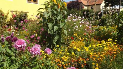 Bild: trj
Der wunderschöne Bauerngarten der Familie Kahl.