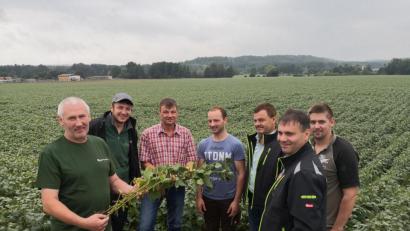 Bild: phol
Josef Rauch (links) präsentiert eine Sojapflanze samt Wurzel. Zusammen mit Wolfgang Wittmann (Landwirtschaftsamt Amberg, Dritter von links) und Harald Pilhofer (Maschinenring Amberg-Sulzbach, Zweiter von rechts) macht er sich für den Anbau von Soja stark.
