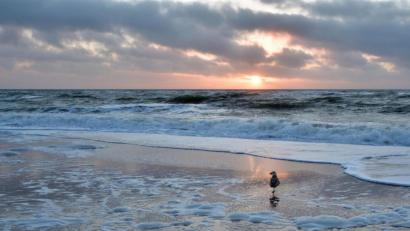 Bild: exb/Martin Poschenrieder
Martin Poschenrieder war mit seiner Kamera auf Sylt unterwegs und fing eine phantastische Stimmung ein.
