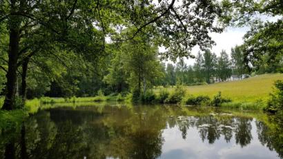Bild: Gemeinde Bad Alexandersbad/exb
Das Moor- und Mineralheilbad Bad Alexandersbad ist aufgrund seiner Lagegunst umgeben von Wäldern und Wiesen prädestiniert für Gesundheitsangebote in der Natur.