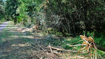 Bild: do
Es sieht wüst aus am Glutschaufelweg in Eschenbach, doch tatsächlich gehört der Maschineneinsatz am Wegesrand zu den Pflegemaßnahmen.