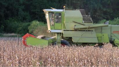 Bild: bsc
Mit einem handelsüblichen Mähdrescher läuft die Mohnernte rund um den Steinwald. Jedoch mussten vorab an der Technik geschraubt und zusätzliche Teile in das Erntefahrzeug eingebaut werden.