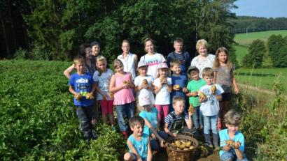 Bild: gi
Das Kartoffelklauben macht den Kindern der Ferienbetreuung großen Spaß. Dabei gibt es auf dem Feld allerhand zu entdecken.