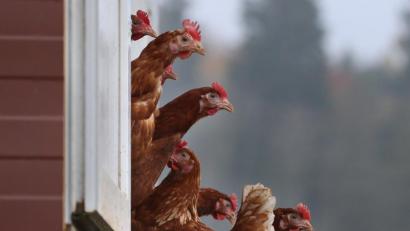 Symbolbild: Karl-Josef Hildenbrand/dpa