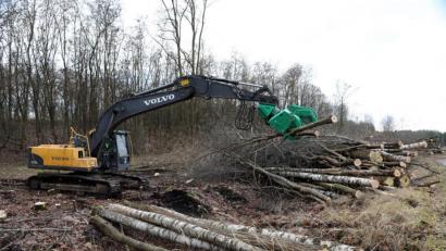 Bild: Gerhard Götz
Große Bagger zwischen derzeit Bäume und Gebüsch auf dem Deponiedamm Westfeld ab. Das Holz wird gehäckselt und verwertet. Hier sollen wertvollere Lebensräume für Tiere und Pflanzen entstehen.