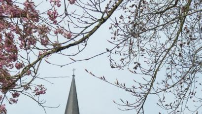Bild: ow
Die Neustädter Dreieinigkeitskirche gehört zu den Wahrzeichen der Kulmstadt. Gegründet wurde sie als katholische Klosterkirche, heute ist sie das Gotteshaus der evangelischen Kirchengemeinde von Neustadt am Kulm.