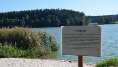 Bild: Benkhardt
Am Rothenbürger Weiher wird vor Blaualgen gewarnt.