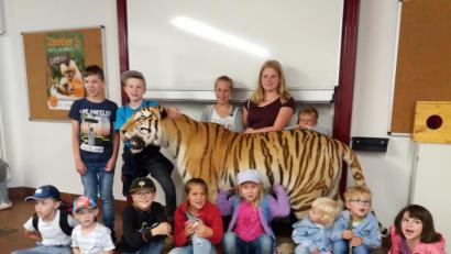 Bild: wlr
"Keine Angst vor großen Tieren"....einer so gefährlichen Großraubkatze so nahe zu kommen ist schon was Besonderes. Der ausgestopfte Tiger war beim Besuch im Straubinger Zoo ein beliebtes Fotomotiv der Kids.