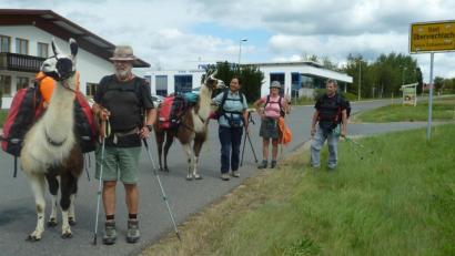 Bild: Portner
Vier Wanderer und zwei Lamas überqueren beim Gewerbegebiet Oberviechtach die Bundesstraße 22. Die kleine Reisegruppe aus Salzburg war am Donnerstag auf dem Goldsteig von Wildstein nach Kulz unterwegs. Das Ziel ist Passau.