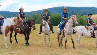 Bild: bsc
Die Steinwald-Allianz unterbreitete im Sommer Urlaubsgästen und Freunden des Reitsports ein besonders Angebot. Andrea Steinkohl vom Biolandhof „Grenzmühle“ (rechts) organisierte mit ihren Reiterfreundinnen (von links) Anja Schultes, Sarah Schraml, Sandra Kochs, Melanie Schultes und Isabella Ständer den allwöchentlichen Aktionstag „Der berittene Cowboy-Dienstag“. Neben dem Reitsport lernten die vielen Teilnehmer dabei auch den Naturpark Steinwald kennen.