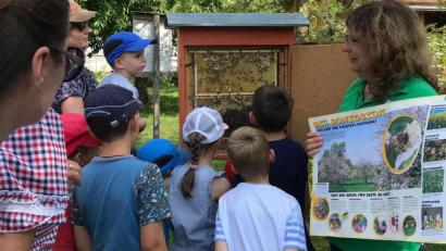 Bild: stn
Die Kinder gewinnen interessante Einblick in das Leben im Bienenstock.