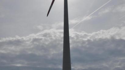 Bild: ws
Die Windräder nahe Ellenfeld sollten sich in einem "Rotmilan-Hotspot" drehen, hat ein Gutachter im April festgestellt. Untersuchungen der Windparkbetreiber zusammen mit dem Landratsamt haben ergeben, dass keiner der Horste besetzt war.