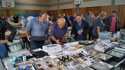 Bild: du
Hoch her ging es am Sonntag bei der größten Insektenbörse Bayerns in der Schirmitzer Mehrzweckhalle. 60 Entomologen aus acht europäischen Ländern nutzten die fachbezogene Ausstellung zu Tausch und Kauf.