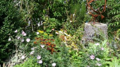 Bild: rlö
Reiche und insektenfreundliche Bühinsel mit Sonnenhut, Blauraute,Wilder Malve anstelle der ökologisch wertlosen Blaufichte. Vom Baum blieb nur der Stumpf, der jetzt eine eiserne Sonnenuhr trägt.