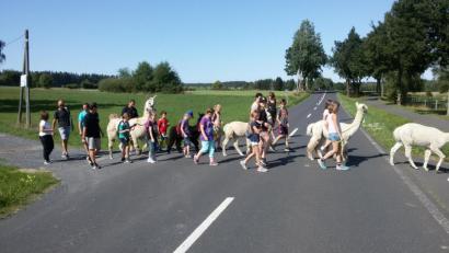 Bild: fz
Beim Überqueren der Straße passen die Kinder auf ihre Lamas auf.