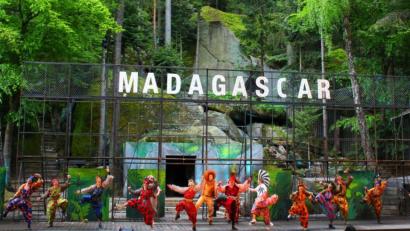 Bild: Holger Stiegler
Das Familienmusical „Magadascar“ war der Publikumsrenner der abgelaufenen Luisenburg-Saison mit knapp 43 000 Besuchern.