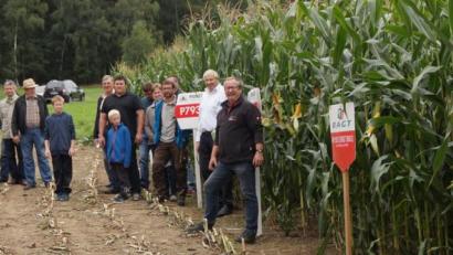 Bild: weu
Eine große Menge an interessierten Landwirten wurde beim Maisfeldtag bei Neuhaus von den Firmenvertretern Konrad Werner (RAGT, rechts) und Josef Gschrey (Pioneer, Zweiter von rechts) über altbewährte und neue Sorten informiert.