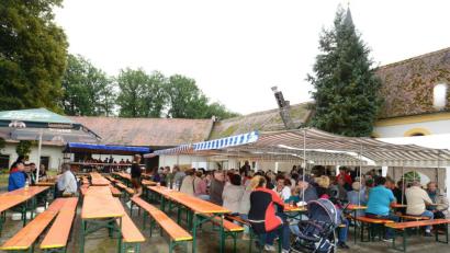 Bild: bey
Festleiter Gerhard Kres (Zweiter von links) beobachtete von einem freistehenden Regenschirm aus das Geschehen im Schlosshof Unterwildenau.