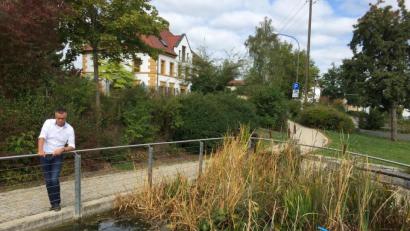 Bild: Unger, Heike
Hirschaus Bürgermeister Hermann Falk am jetzt erneut gesäuberten Stadtparkteich: Innerhalb einer Woche musste dieser zweimal abgelassen werden, weil der ganze Boden mit Hundekotbeuteln übersät war. Kein Wunder, dass hier über 70 Fische verendet sind.