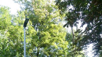 Bild: rn
Eine neue Straßenlaterne erhellt den finsteren Bereich des Eschenbachwegs.