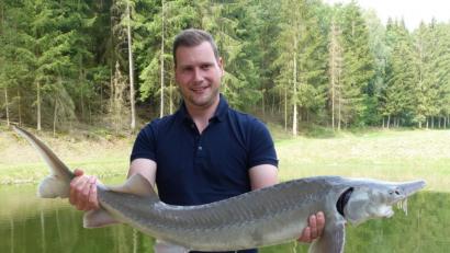 Bild: cv
Michael Dobler züchtet Störe. Für die "gewichtigen" Fische in den Nabburger Teichen braucht man starke Arme.