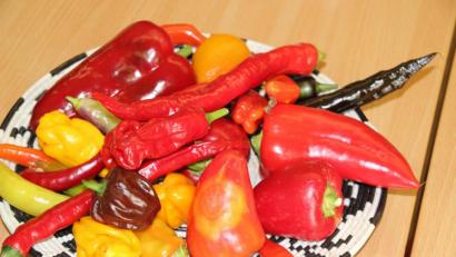 Bild: obe
Chilifest Neusorg