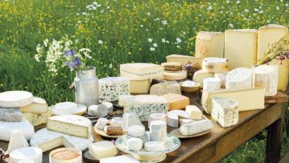 Bild: Niederländischer Milchverband f/Niederländischer Milchverband fü/obs
Käse aus Frankreich - Symbolbild