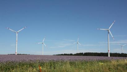 Bild: frd
Gleiritscher Bürger beklagen, dass sie seit dem Betrieb des Windparks Pamsendorf körperliche Beeinträchtigungen und Schäden an Hab und Gut erlitten hätten.