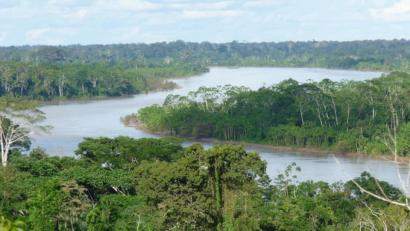 Bild: Rainer Putz/Regenwald-Institut
Der Regenwald im Amazonasgebiet leistet einen wichtigen Beitrag zur Stabilisierung des Klimas.