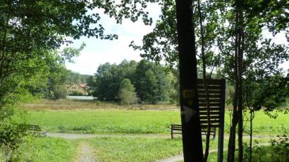 Bild: Portner
Auf dieser Wiese an der Dietersdorfer Straße ist das Seniorenzentrum "Alte Säge" geplant. Im Hintergrund der Festplatz an der Böhmerwaldstraße.