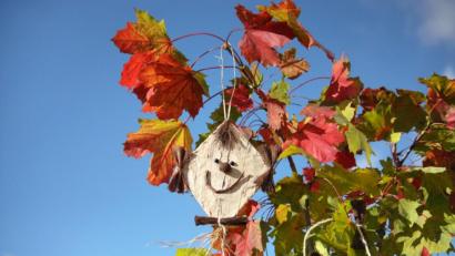 Bild: pixelunikat – stock.adobe.com 
Konzentrieren Sie sich auf die schönen Seiten des Herbstes.