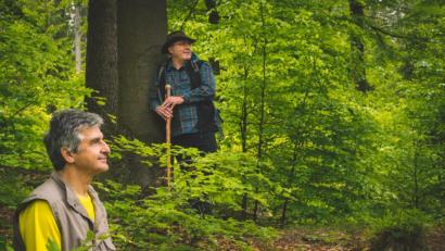 Bild: ubb
Michael Schneider (hinten) und Thomas Zernak führen kleine Gruppen auf stille Pfade zum Erlebnis "Waldbaden"
