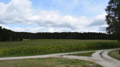 Bild: bnr
Auf einem Feld 650 Meter westlich von Kögl , in der Nähe der Bahnstrecke Schwarzenfeld-Buchtal, soll die "PV-Anlage Kögl" errichtet werden.