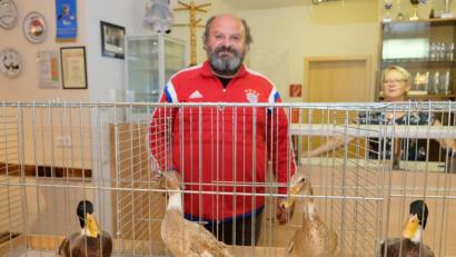 Bild: do
Die Laufenten sind Schneckenjäger mit hohen Legeleistungen, betont Preisrichter und Kreiszuchtwart Alfred Sauer in der Kreisversammlung der Rassegeflügelzüchter.