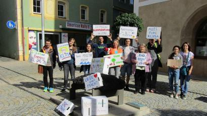 Bild: sck
Einige Teilnehmer der Fridays-for-Future-Demonstration in Auerbach.