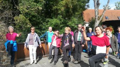 Bild: exb/Johanna Baumann
Bei der Gesundheitswanderung in Wernberg wurde den Teilnehmern gezeigt, wie Bewegung in den Alltag eingebaut werden kann.