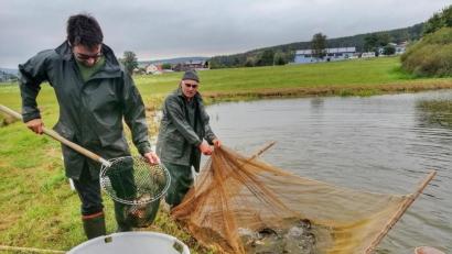 Bild: anv
Vom Weiher direkt auf den Tisch. Teichwirt Peter Süß (rechts) steht für regionalen Fischvertrieb. Einer seiner Abnehmer ist das Gasthaus Landhotel Holzwurm, in dem die Teichgenossenschaft Oberpfalz die Karpfensaison eröffnete.