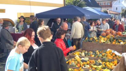 Bild: Schönberger, Ferdinand [fsb]
Die Dekokürbisse vom Beutner-Hof gibt es in ungeahnter Vielfalt.