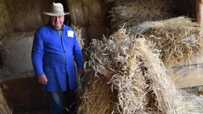 Bild: hcz
Kornmandln binden kann heute kaum einer mehr. Der 83- jährige Georg Selch kann es noch.