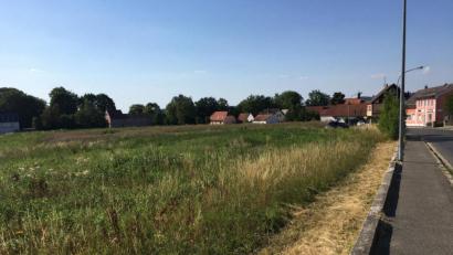 Archivbild: Irma Held
Bei der Stadtratssitzung drehte es sich auch um das Areal der alten Gärtnerei. Elf Schreiben von Bürgern mit ihren Bedenken wurden besprochen.