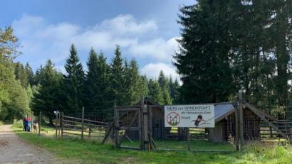 Bild: rw
Auch am Wildgehege am Waldhaus im Steinwald hängt nun ein Transparent gegen den Windpark im Hessenreuther Wald.