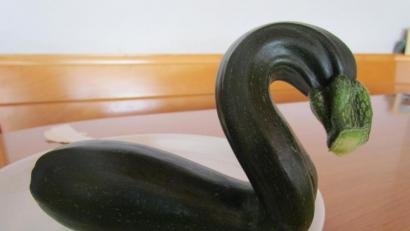 Bild: is
Nicht nur auf dem Wasser sind Schwäne zu finden, sondern auch im Garten - wie dieser Zucchini-Entenvogel.
