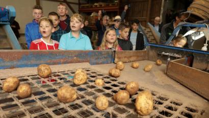 Bild: Wolfgang Steinbacher
Die Nachernte-Aktion auf dem Hof der Familie Trummer in Hahnbach macht anlässlich des bundesweiten Tafeltages auf Lebensmittelverschwendung aufmerksam. Seit 15 Jahren unterstützen die Trummers die Amberger Tafel mit Kartoffeln, die Schönheitsfehler haben.