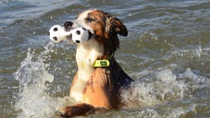Bild: Kunz
Jeder schwimmt auf seine Weise.