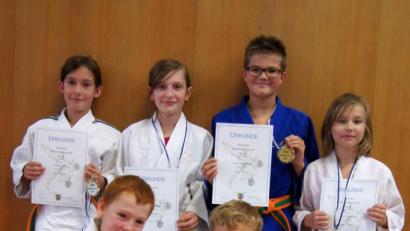 Bild: exb
Über gute Resultate freuten sich die Nachwuchs-Judokas des 1. FC Schwarzenfeld.