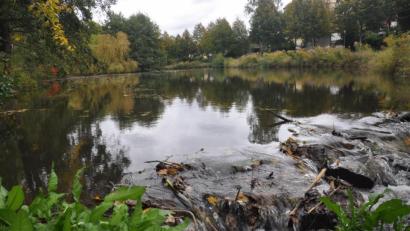 Bild: ws
Mit dem Spatenstich für das Projekt „Zukunft Stadtgrün“ Mitte des Monats wird es nichts. Die Stadt hat keine Baufirma gefunden. Jetzt wird im Januar die nächste Ausschreibung gestartet. Bei dem Vorhaben sollen Verbesserungen am Stadtteich Nord/West sowie am Platz La Ville du Bois erreicht werden.